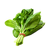 Spinach